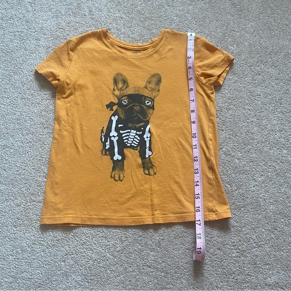 3 for $15 Glow In The Dark French Bull Dog Skeleton Tee Old Navy Size 6-7 Orange - Picture 5 of 14